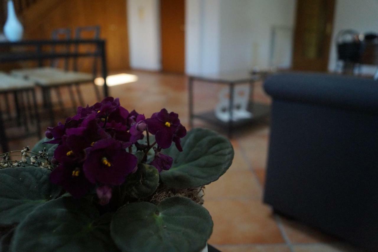 Bed and Breakfast Bonjour Bonheur Avellino Exterior foto
